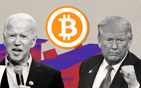 混乱是阶梯，比特币不关心美国大选
