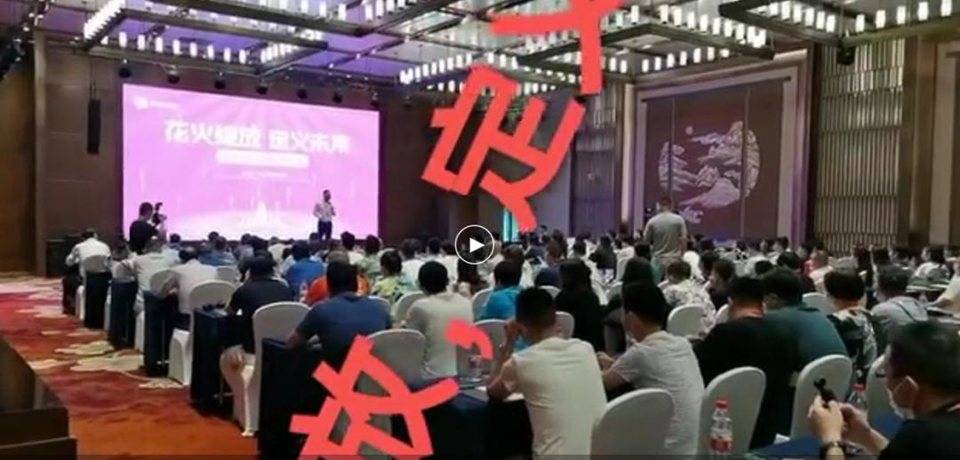 花火崩盘记：资金盘何以成为信仰 | 链捕手