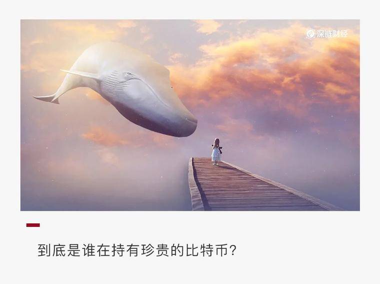 23家机构持有88万枚比特币，来！围观这些“巨鲸”