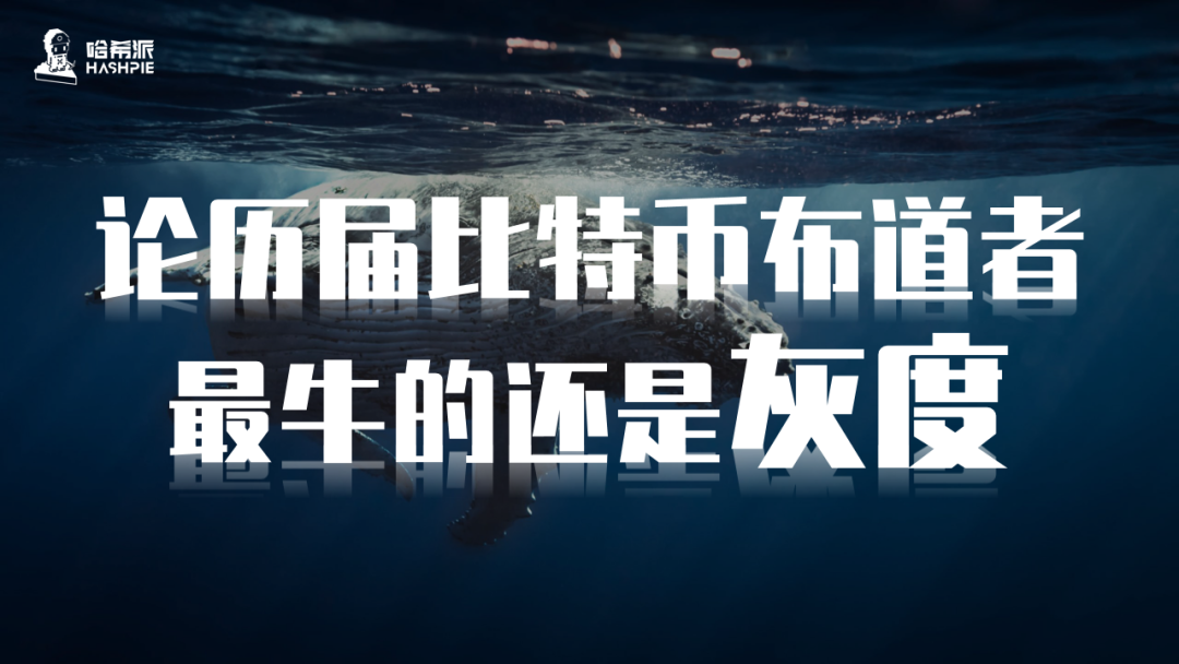 论历届比特币布道者，最牛的还是灰度