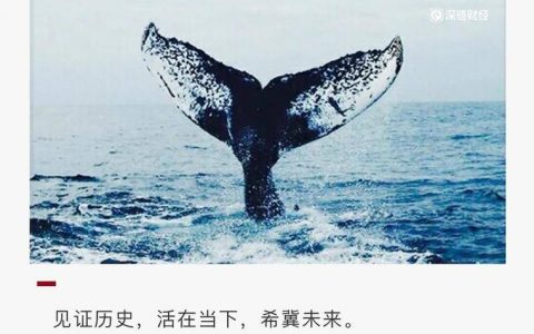 2020，加密货币十宗“最”