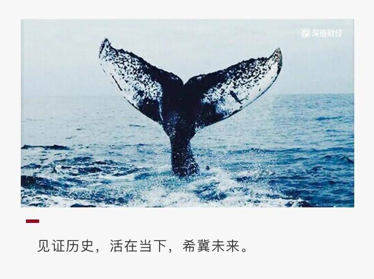 2020，加密货币十宗“最”