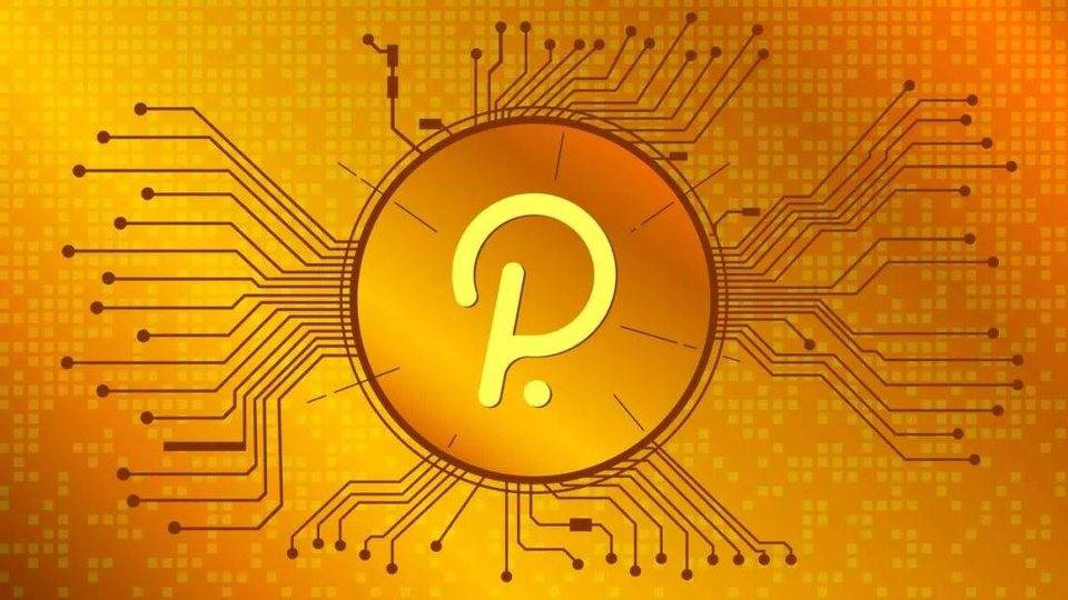 波卡已是第二大 DeFi 生态系统，进展如火如荼，2021 年值得期待？