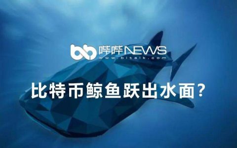 比特币鲸鱼跃出水面？
