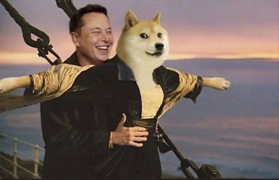 金融圈在被比特币啪啪打脸，而我们在被狗狗币啪啪打脸