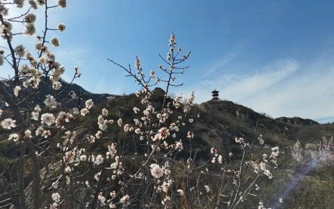 行情高涨之下，我还要成为矿工吗？