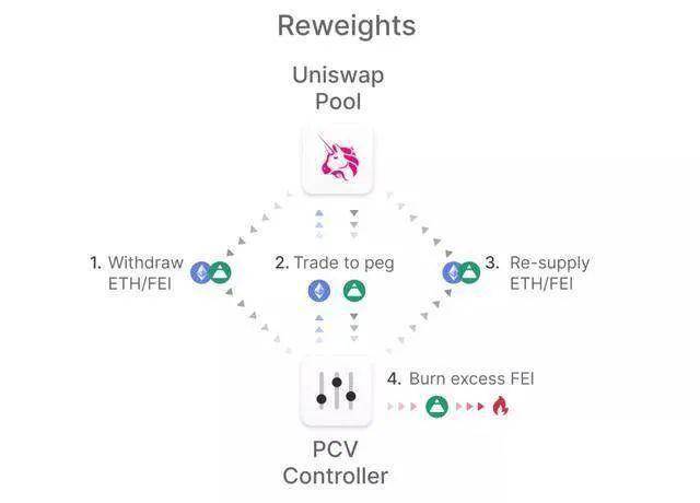 “Fei”的水下世界，游得畅快吗？