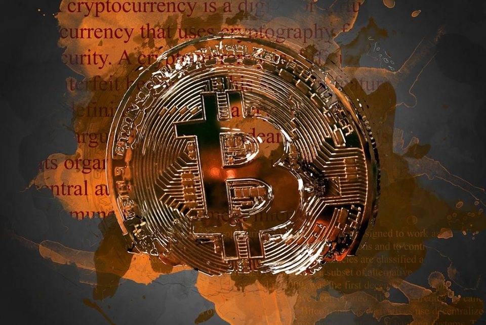 金融圈在被比特币啪啪打脸，而我们在被狗狗币啪啪打脸