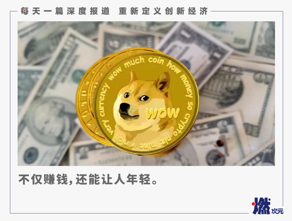 狗狗币的“致富密码”，你永远不懂