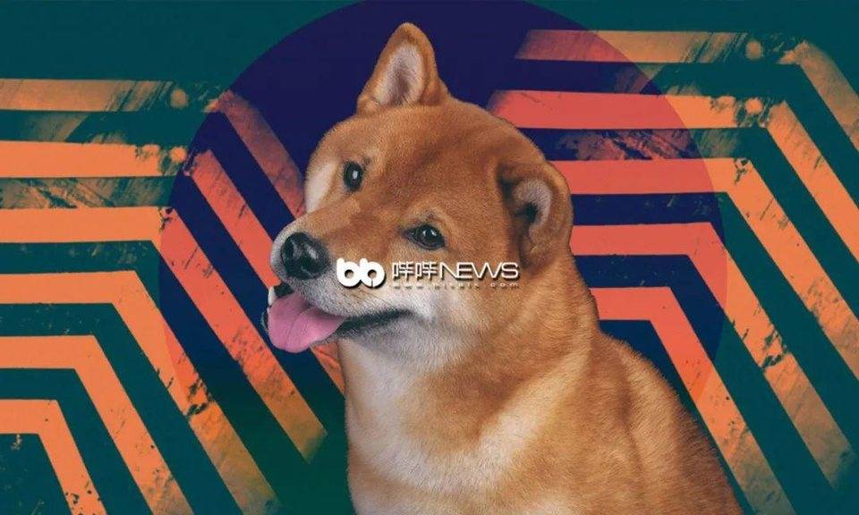 Meme 代币为什么能出圈？