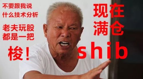 屎币也能炒，30天暴涨百倍？！我真的服了币圈了。。。