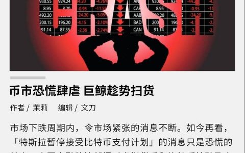 币市恐慌肆虐 巨鲸趁势扫货