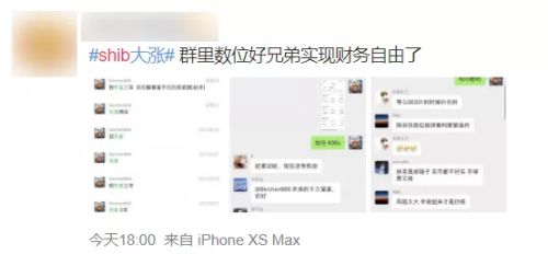屎币也能炒，30天暴涨百倍？！我真的服了币圈了。。。