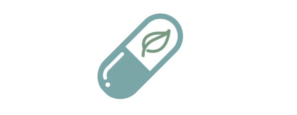 主网上线后的 DFINITY，目前都有哪些生态
