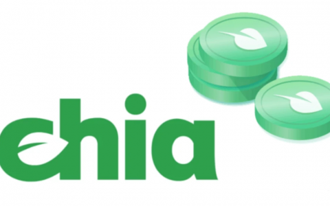 号称“比特币杀手”的 Chia，凭什么点燃挖矿市场？