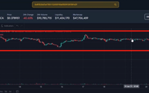 20万美元买到三个教训，微博大V公开 DeFi 被爆仓始末