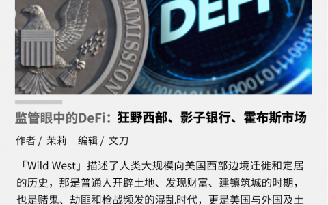 监管眼中的 DeFi：狂野西部、影子银行、霍布斯市场