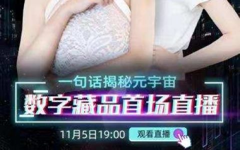 大厂 NFT 更名「数字藏品」，双十一催生另类热度？